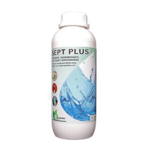 Desengraxante Detergente Biodegradável Sept Plus - 1 Litro