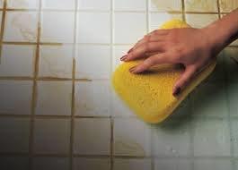 Desengraxante Detergente Biodegradável Sept Plus - 5 Litros - Imagem 2